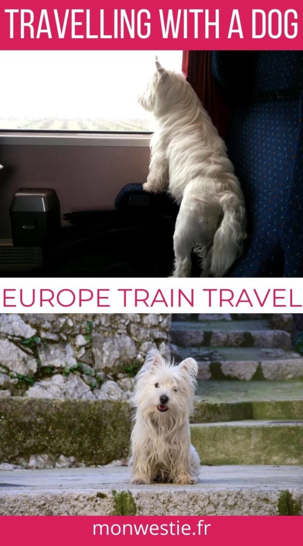 Westie Jahan travelling by train and in Saint Paul de Vence