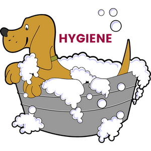 Produits d'hygiène pour chiens